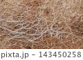 studio shot of a plant root background. 143450258