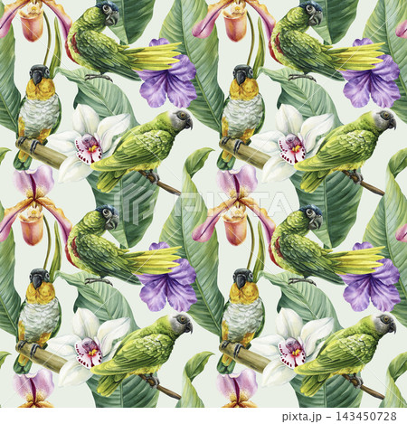 Tropical parrots and orchids watercolor seamless pattern with green foliage on pale background for fabric wallpaper summer decor 143450728
