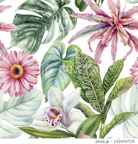 Pink tropical flowers watercolor composition with orchids gerbera and variegated green leaves on white background botanical decor 143450729