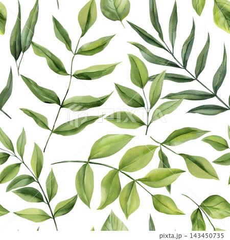 Green watercolor leaves seamless pattern with botanical branches and fresh foliage on white background for natural fabric design 143450735