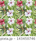 Red and white hibiscus flowers watercolor seamless pattern with tropical green leaves on cream background for fabric and wallpaper 143450746