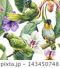 Green parrots tropical orchids watercolor composition featuring lush leaves and colorful exotic birds on a clean white background 143450748