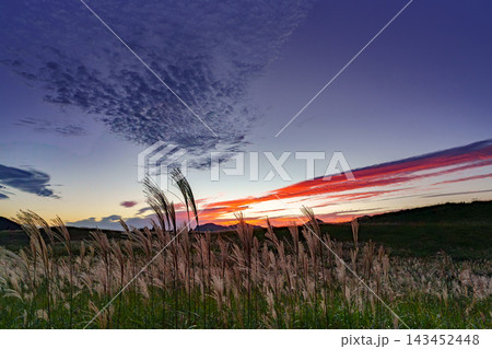 黄昏時の曽爾高原 24mmで捉えた朱色が美しい低層の雲と広大なススキ草原の夕景 黄昏時の曽爾高原 24mmで捉えた朱色が美しい低層の雲と広大なススキ草原の夕景 143452448