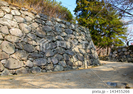 松坂城 143455266