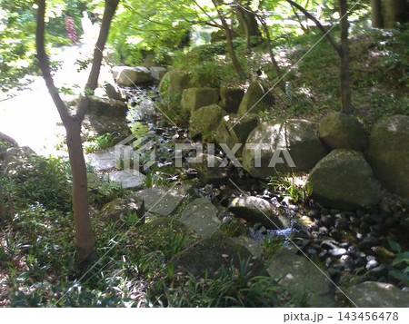 徳川園の風景　2024年5月撮影 143456478