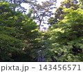 名古屋徳川園の風景　龍仙湖　2024年5月撮影 143456571