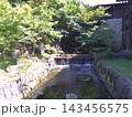 名古屋徳川園の風景　龍仙湖　2024年5月撮影 143456575