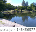 名古屋徳川園の風景　龍仙湖　2024年5月撮影 143456577