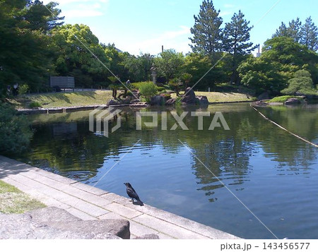 名古屋徳川園の風景 龍仙湖 2024年5月撮影 名古屋徳川園の風景 龍仙湖 2024年5月撮影 143456577