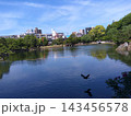 名古屋徳川園の風景　龍仙湖　2024年5月撮影 143456578
