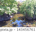 名古屋徳川園の風景　龍仙湖　2024年5月撮影 143456761