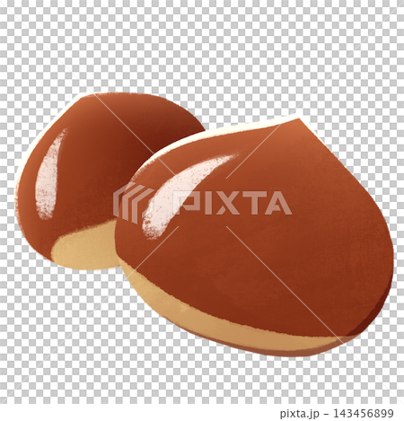 Illustration of chestnut 143456899