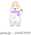 冬の装いのシロクマ 143457039