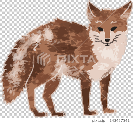 Full-color side view illustration of a fox, a pest animal, in a hand-drawn, stylized style (fox, crop damage, bird and animal damage, pest control, people) Full-color side view illustration of a fox, a pest animal, in a hand-drawn, stylized style (fox, crop damage, bird and animal damage, pest control, people) 143457541