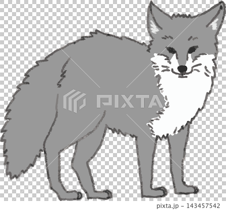 Full-body side view line drawing illustration of a fox (a pest animal), hand-drawn style, stylized (fox, crop damage, bird and animal damage, pest control, monochrome) 143457542