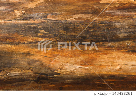 The wood surface displays various shades and patterns created by grains and imperfections. Light reflects off the texture, highlighting its organic beauty. This surface can be used in design projects. The wood surface displays various shades and patterns created by grains and imperfections. Light reflects off the texture, highlighting its organic beauty. This surface can be used in design projects. 143458261