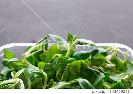 Fresh green leaves are in a clear container placed on a dark surface. These leaves are ready for use in salads or cooking. The scene shows a close-up view of fresh produce. 143459291