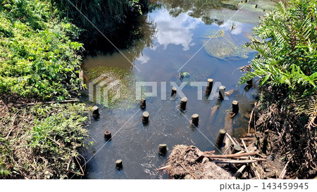Small River Stream With Wooden Poles And Sky Reflection 143459945
