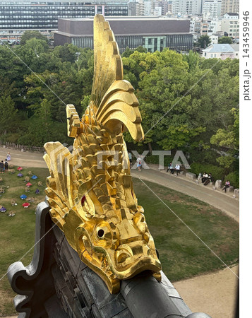 天守から望む、金色に輝く鯱と城の庭園 143459946