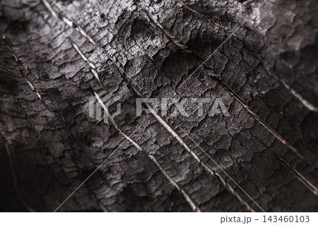 The texture of burnt wood shows cracks and lines created by fire. The light highlights the details of the dark surface. This is a close view of the wood. The texture of burnt wood shows cracks and lines created by fire. The light highlights the details of the dark surface. This is a close view of the wood. 143460103