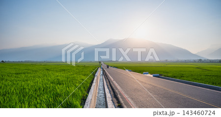 Straight road through green rice fields in Chishang, Taiwan 143460724