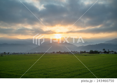 Sunrise over rice fields and mountains in Yuli, Taiwan Sunrise over rice fields and mountains in Yuli, Taiwan 143460750