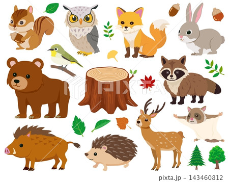森の動物たちと自然のイラストセット秋 143460812