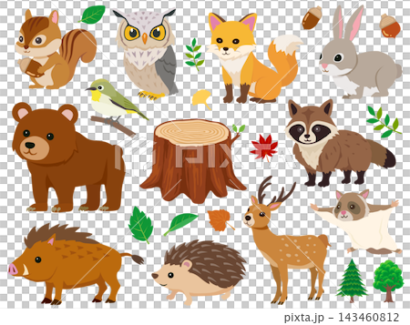森の動物たちと自然のイラストセット秋 143460812