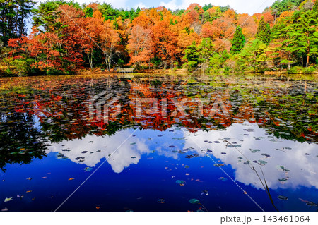 紅葉がリフレクションする沼の秋景色 紅葉がリフレクションする沼の秋景色 143461064