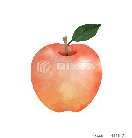 りんごのカラーイラスト りんごのカラーイラスト 143461293
