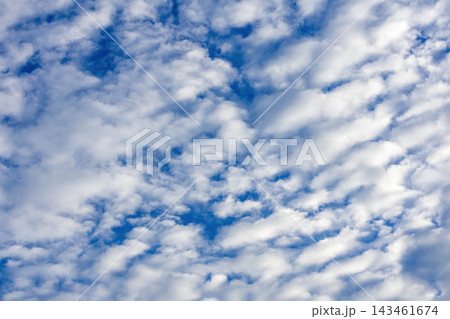 Fluffy white altocumulus clouds scattered across clear blue sky. Bright daytime sky background for outdoor and climate themes. Fluffy white altocumulus clouds scattered across clear blue sky. Bright daytime sky background for outdoor and climate themes. 143461674