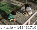 夕方の公園で砂遊びする2人の子供の兄弟 143461710