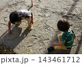 夕方の公園で砂遊びする2人の子供の兄弟 143461712