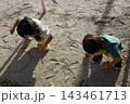 夕方の公園で砂遊びする2人の子供の兄弟 143461713