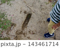 公園の地面に掘った穴に物を埋めて遊ぶ子供 143461714