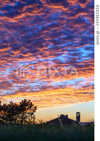 ドラマチックな茜雲の夕空と咲き誇る花畑 143463858