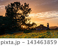 ドラマチックな茜雲の夕空と咲き誇る花畑 143463859
