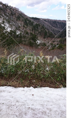 残雪と新緑前の森林が広がる山岳風景 残雪と新緑前の森林が広がる山岳風景 143465325