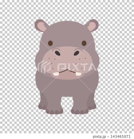 A cute hippo character illustration facing forward. A cute hippo character illustration facing forward. 143465871