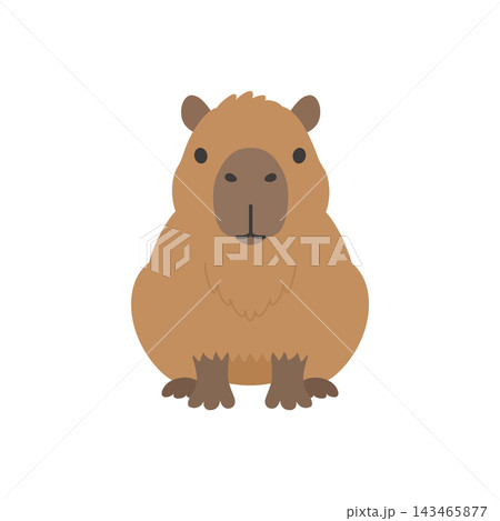 正面を向いたかわいいカピバラのキャラクターイラスト 正面を向いたかわいいカピバラのキャラクターイラスト 143465877