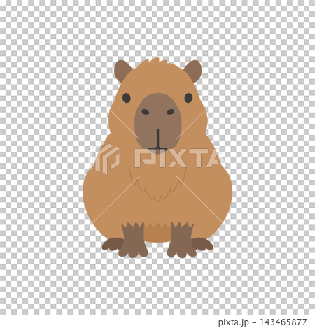 正面を向いたかわいいカピバラのキャラクターイラスト 正面を向いたかわいいカピバラのキャラクターイラスト 143465877