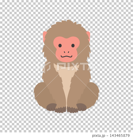 A cute monkey character illustration sitting down A cute monkey character illustration sitting down 143465879