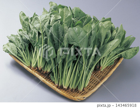 ほうれん草 ほうれん草 143465918