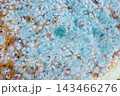 Extreme close-up of blue-green and white mold growing on bread. 143466276
