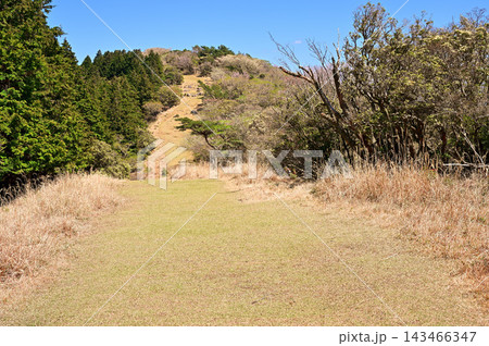 伊豆半島の伊豆山稜線歩道　春の防火帯の登山道 143466347