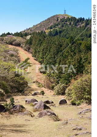 伊豆半島の伊豆山稜線歩道 春の防火帯の登山道より望む金冠山 伊豆半島の伊豆山稜線歩道 春の防火帯の登山道より望む金冠山 143466349