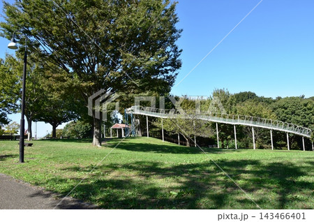 神奈川県茅ケ崎市 県立茅ヶ崎里山公園 風のすべり台と青空 神奈川県茅ケ崎市 県立茅ヶ崎里山公園 風のすべり台と青空 143466401