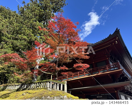 紅葉に包まれた鐘楼  日光東照宮 143466455