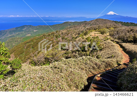 伊豆半島の伊豆山稜線歩道 小達磨山の縦走路から望む雪化粧の富士山と南アルプス 伊豆半島の伊豆山稜線歩道 小達磨山の縦走路から望む雪化粧の富士山と南アルプス 143466621