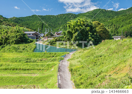 湖西地方の景勝地伊香立の棚田　滋賀県大津市 143466663